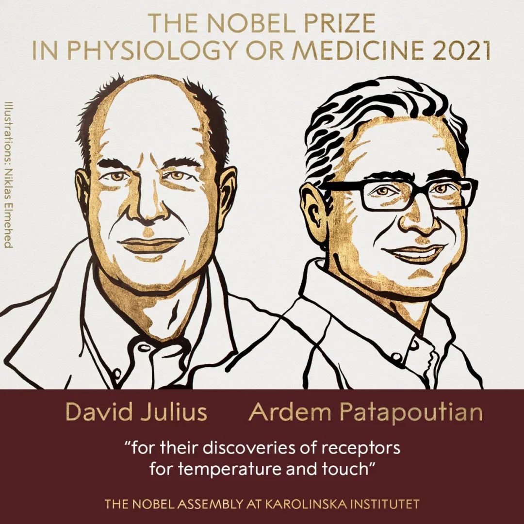 2021年诺贝尔生理学奖或医学奖得主 左:大卫·朱利叶斯( David Julius )右:阿登·帕塔普蒂安( Ardem Patapoutian)